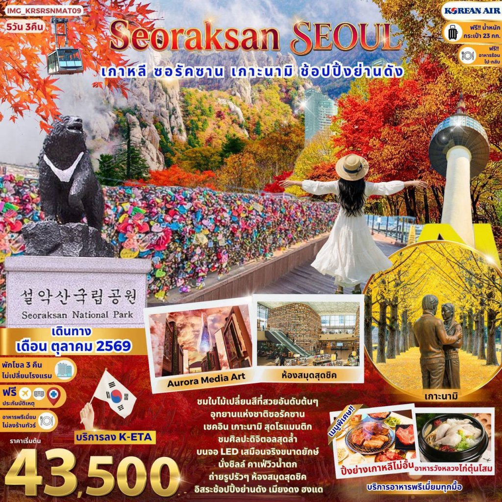 Seoraksan Seoul เกาหลี ชมใบไม้เปลี่ยนสี ซอรัคซาน เกาะนามิสุดโรแมนติก